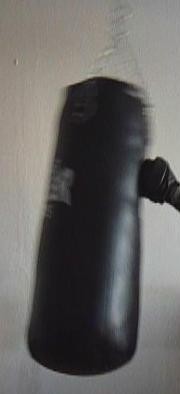luc2