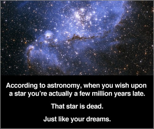 The-star-is-dead-just-like-you