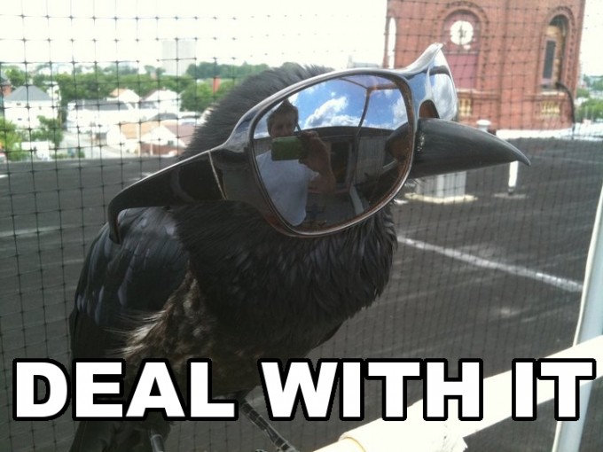 crow-dealwithit-sunglasses-coo