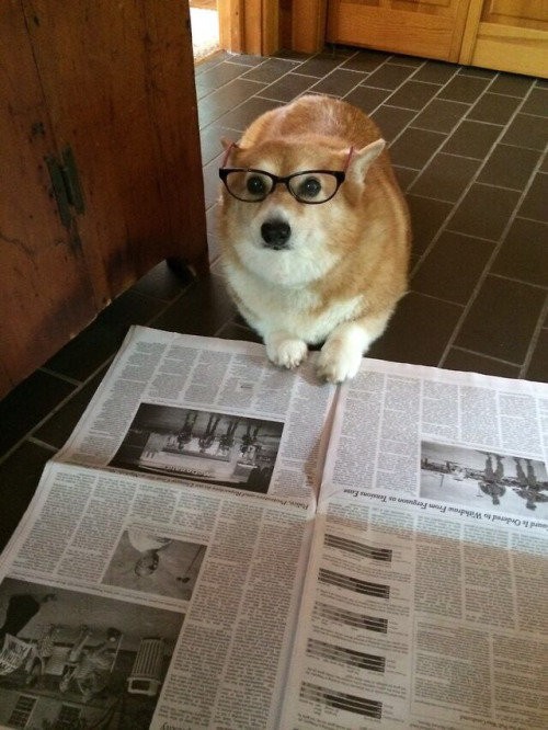Im+worried+about+wall+street+s