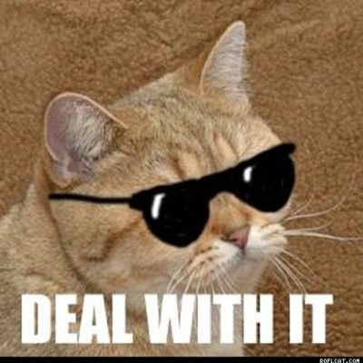 deal