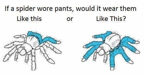 Spider+wearing+pants_dc06ec_60