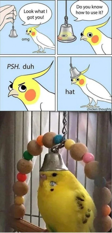 1 (2)