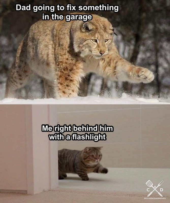 1 (11)